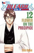 Bleach 12: The Flower On the Precipice