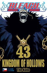 Bleach43