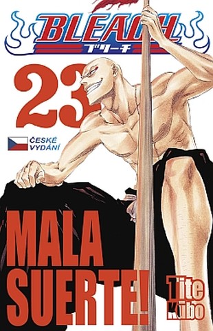 Bleach 23: Mala Suerte!