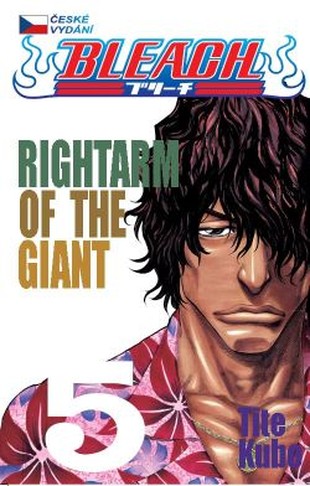 Bleach 5: Rightarm of the Giant