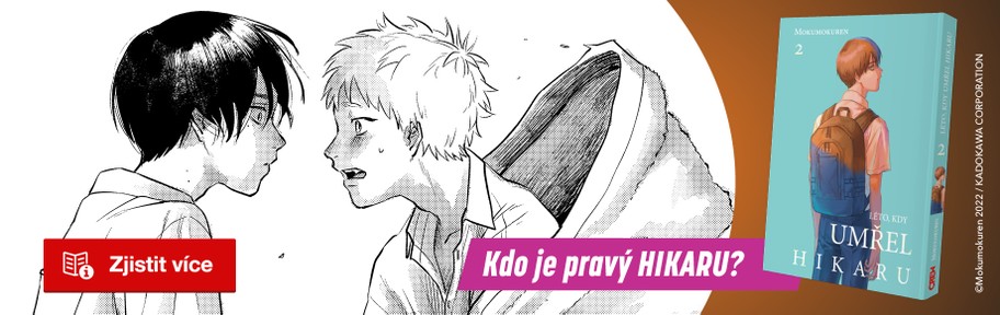 Léto, kdy umřel Hikaru 2