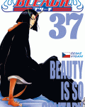 Bleach 37: Beauty Is So Solitary